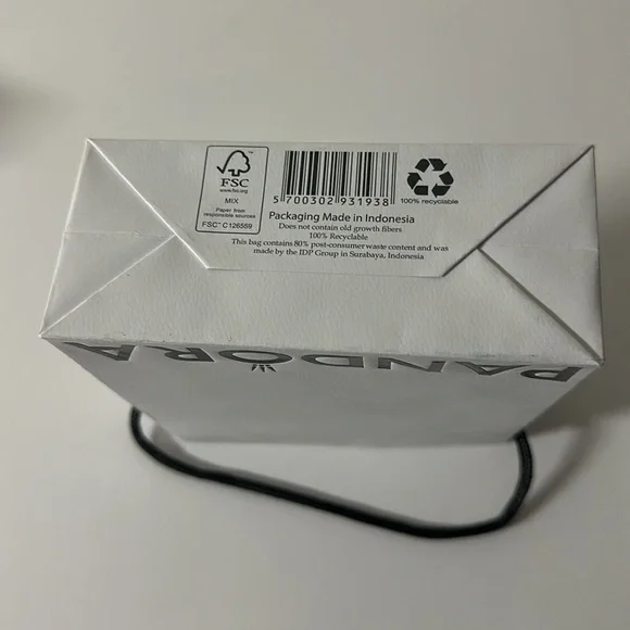 New Pandora silver charm bracelet with gift Bag & charm box - Picture 14 of 15